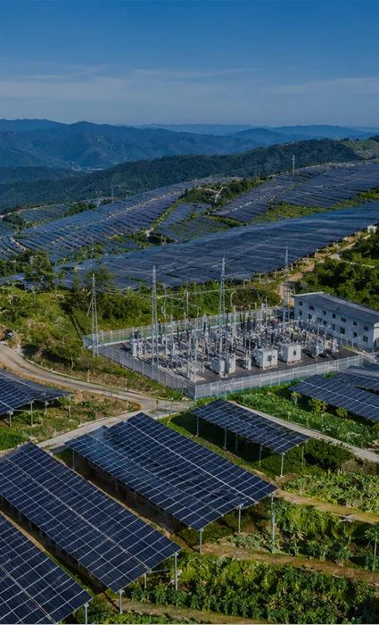 Proyecto de generaci&oacute;n de energ&iacute;a fotovoltaica complementaria solar agr&iacute;cola de 100 MW